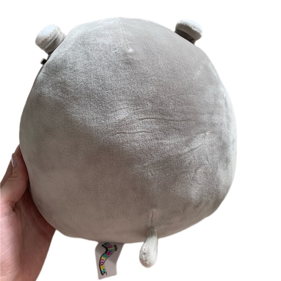 Irving Squishmallow - Picture 2 of 2